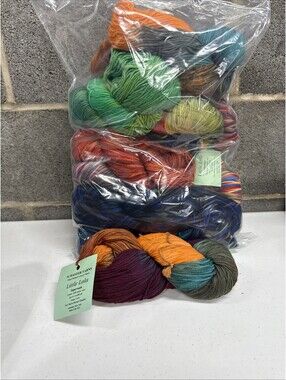 Schaefer Yarns ‘Little Lola’ Merino Wool Multi Color 11 Skein Lot